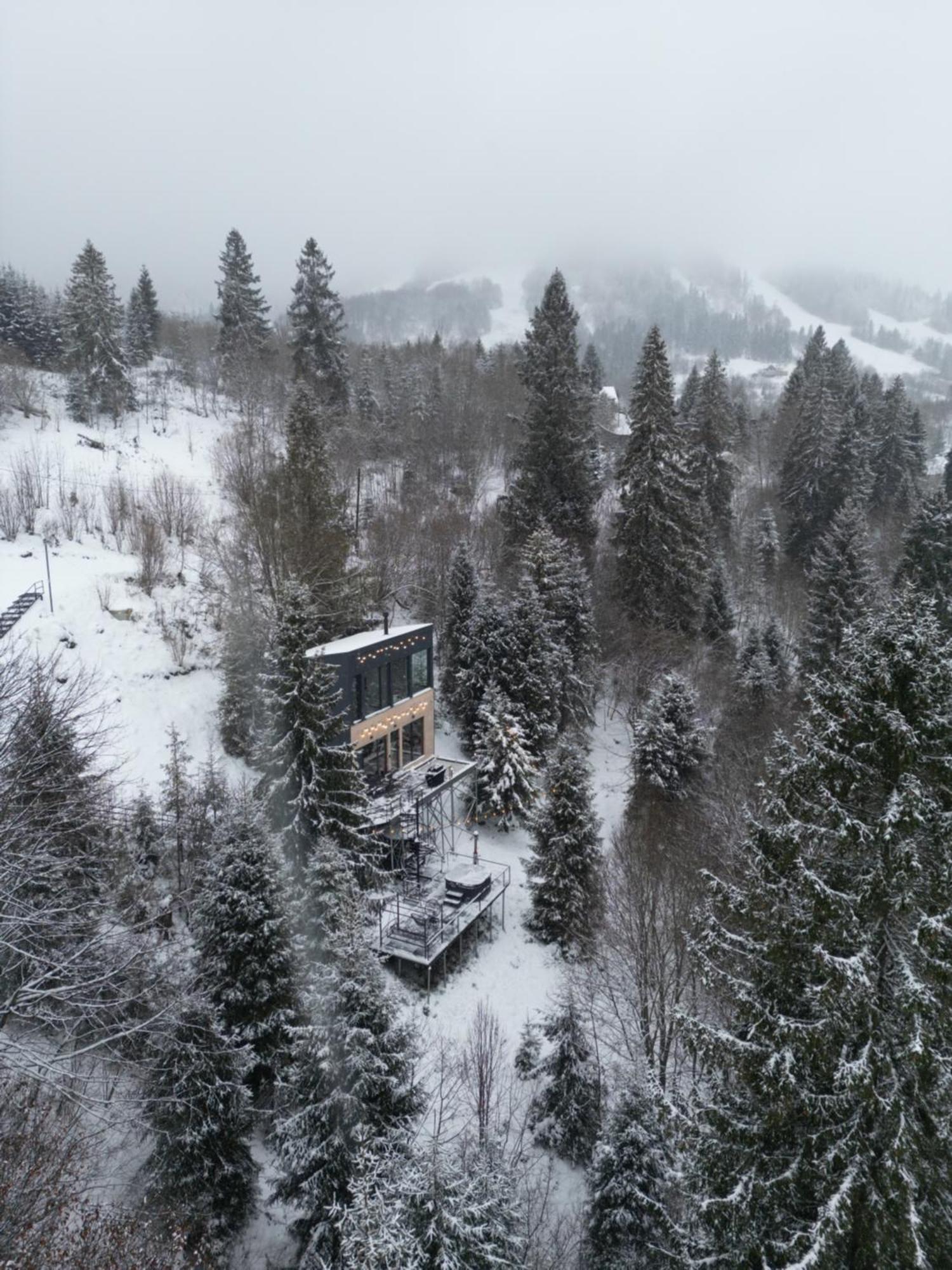 Forest Hub Villa Slavske Bagian luar foto