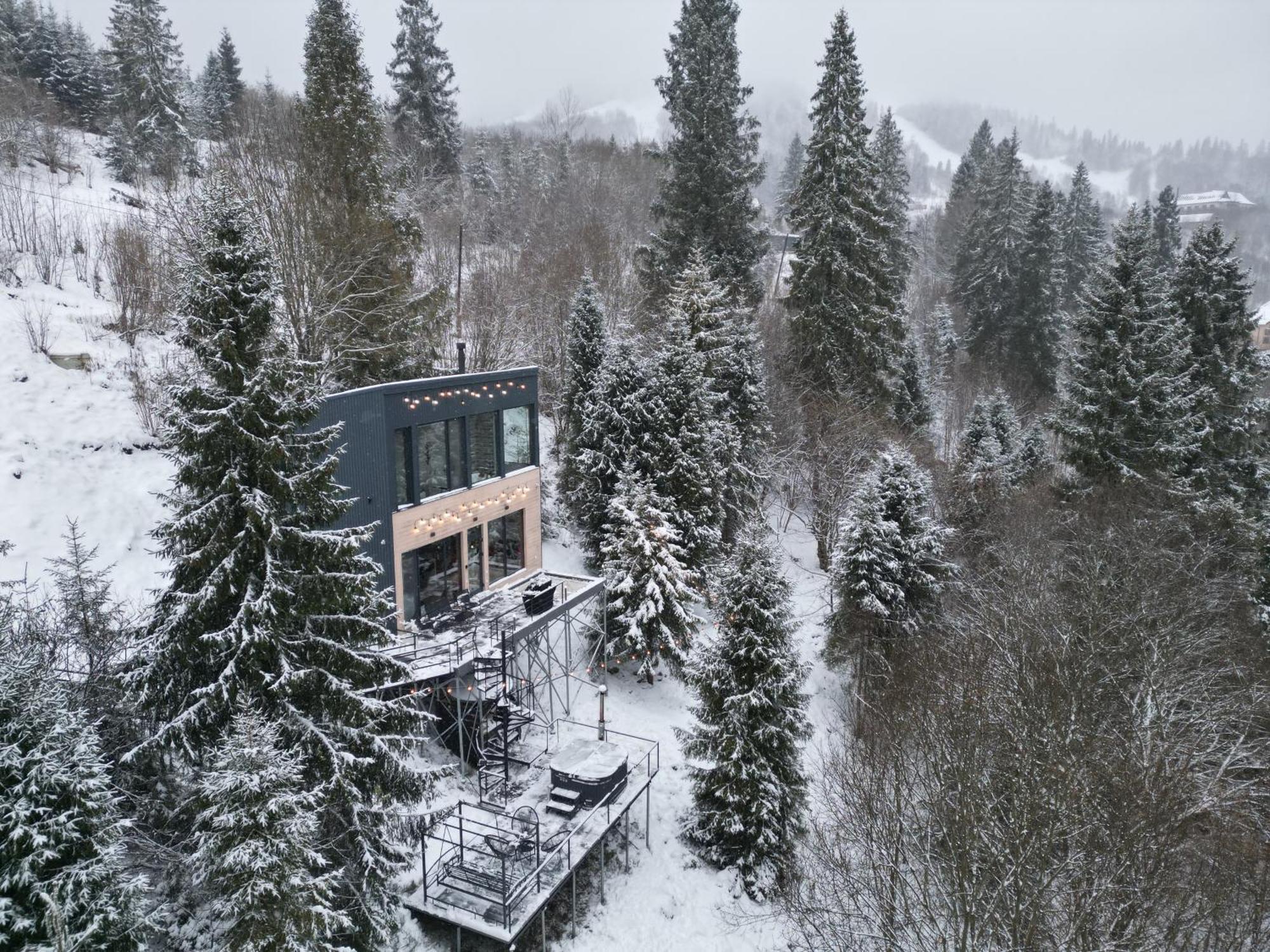 Forest Hub Villa Slavske Bagian luar foto